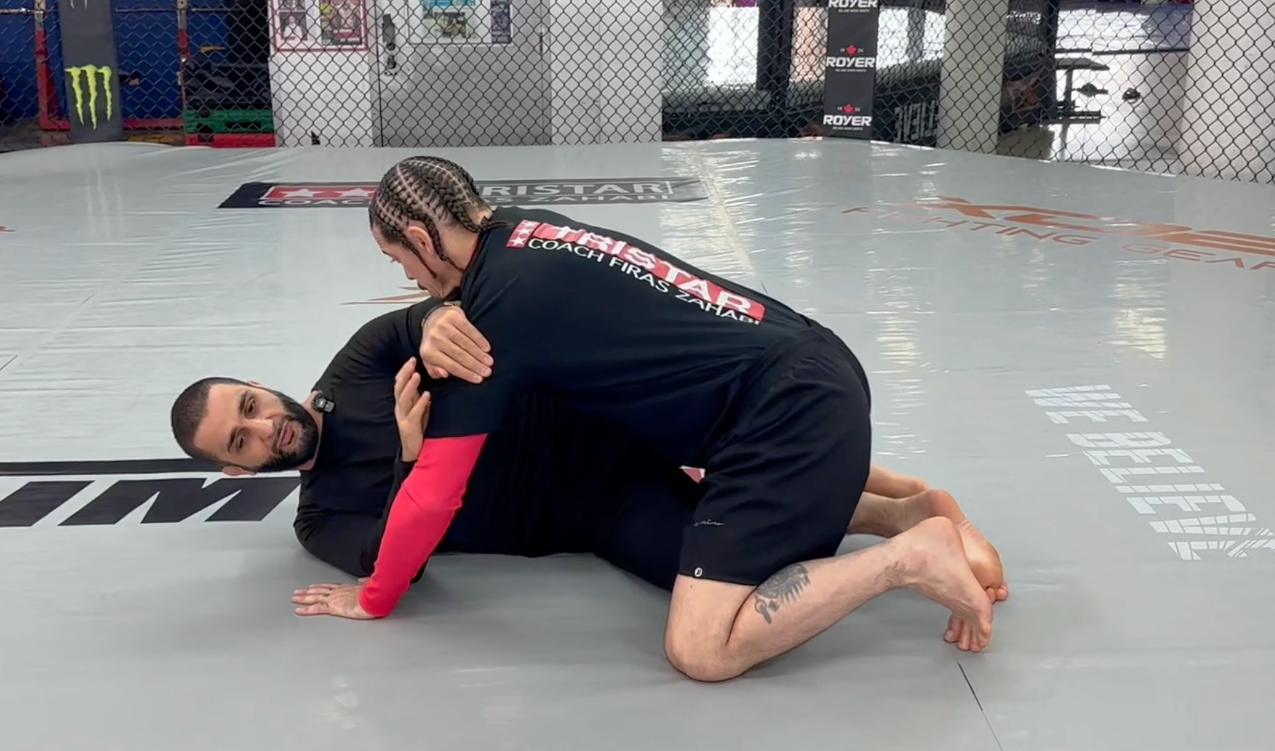My new half guard DVD 