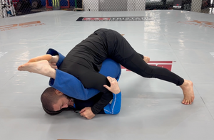 Ultimate Triangle & Omoplata Escapes