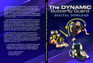 The DYNAMIC Butterfly Guard