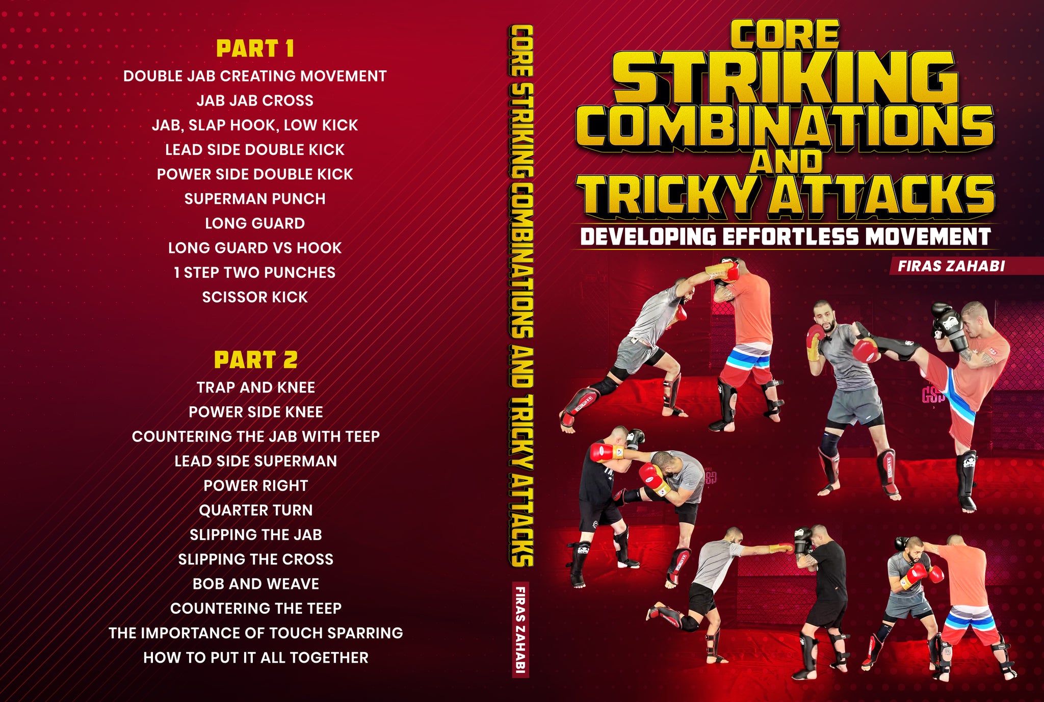 Core Striking Combinations and Tricky Attacks - Developing