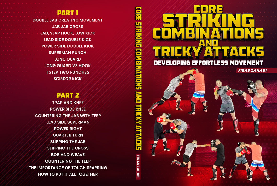 Core Striking Combinations and Tricky Attacks - Developing Effortless Movement Vol. 1