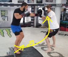 Mastering the Maize Ball Workout