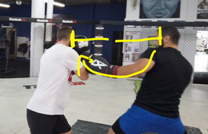 Mastering the Maize Ball Workout