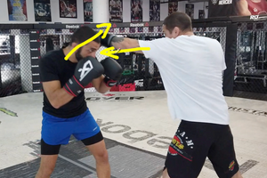 Mastering the Maize Ball Workout
