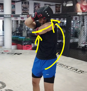 Mastering the Maize Ball Workout