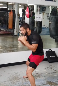 Mastering the Maize Ball Workout
