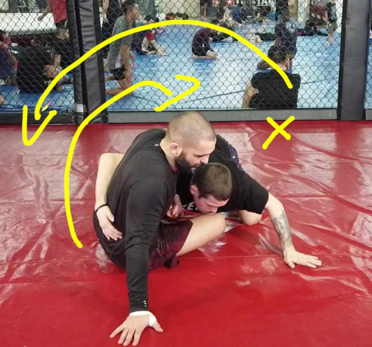 The DYNAMIC Butterfly Guard – Juji Club