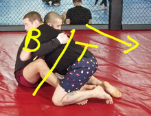 The DYNAMIC Butterfly Guard
