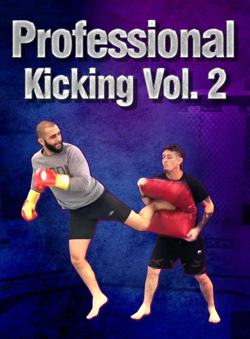 Professional Kicking Vol.2 | Stream or Download